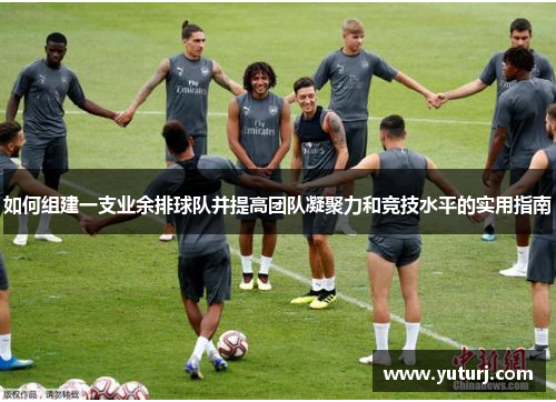 如何组建一支业余排球队并提高团队凝聚力和竞技水平的实用指南