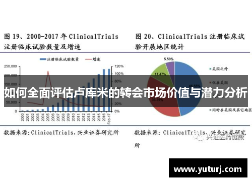 如何全面评估卢库米的转会市场价值与潜力分析