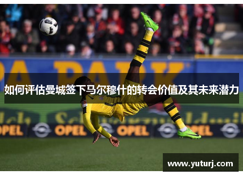 如何评估曼城签下马尔穆什的转会价值及其未来潜力