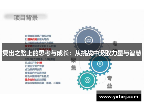 复出之路上的思考与成长：从挑战中汲取力量与智慧