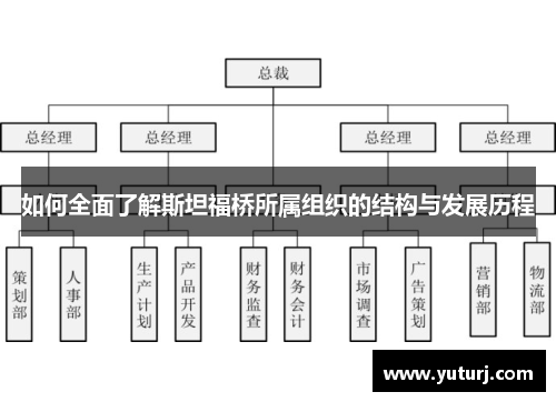 如何全面了解斯坦福桥所属组织的结构与发展历程