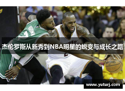 杰伦罗斯从新秀到NBA明星的蜕变与成长之路