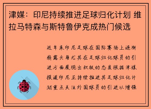 津媒：印尼持续推进足球归化计划 维拉马特森与斯特鲁伊克成热门候选
